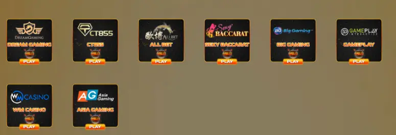 WildPokies casino partners page – icons for providers like Dream Gaming, Sexy Baccarat, and Asia Gaming with play buttons
